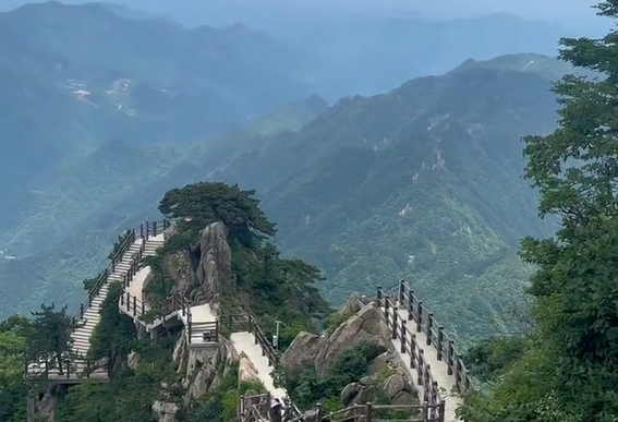 【舒城文旅】夏日避暑來舒城，森林之旅，讓萬佛山滿足你的心愿！